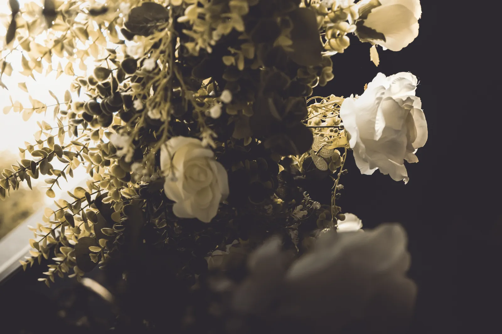 Amanda & Lucas — frame 27, photography by Anna Mello Studios