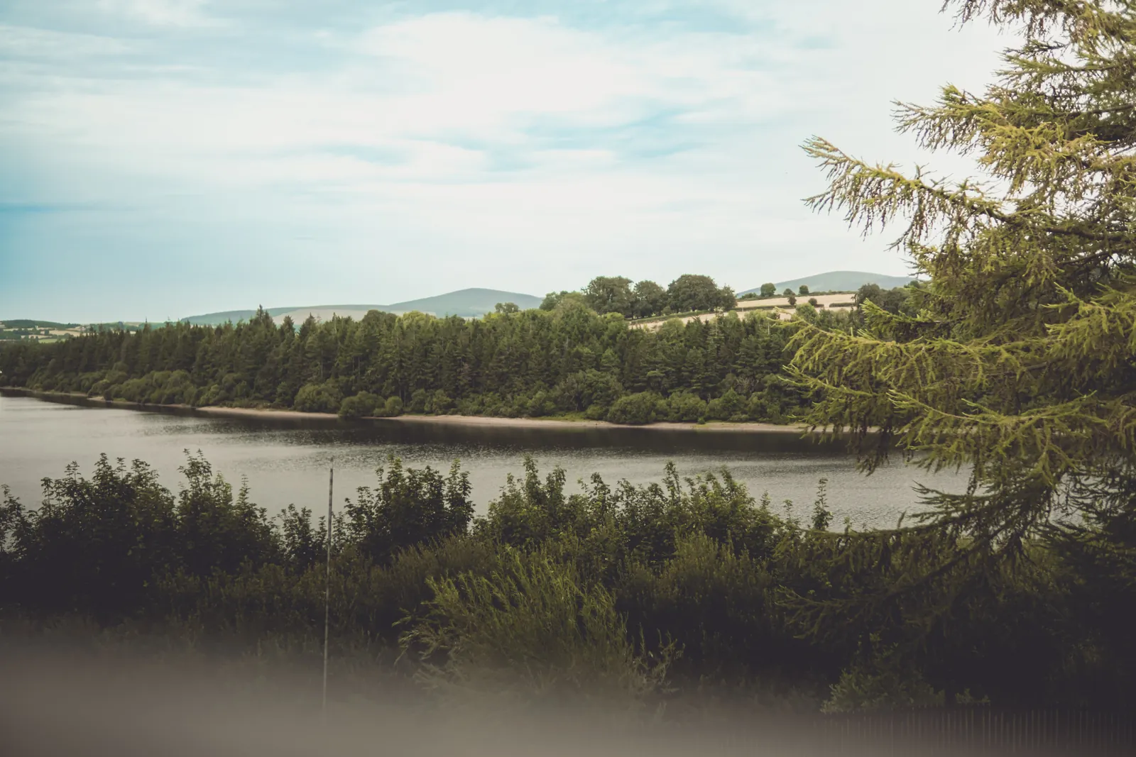 Amanda & Lucas — frame 37, photography by Anna Mello Studios
